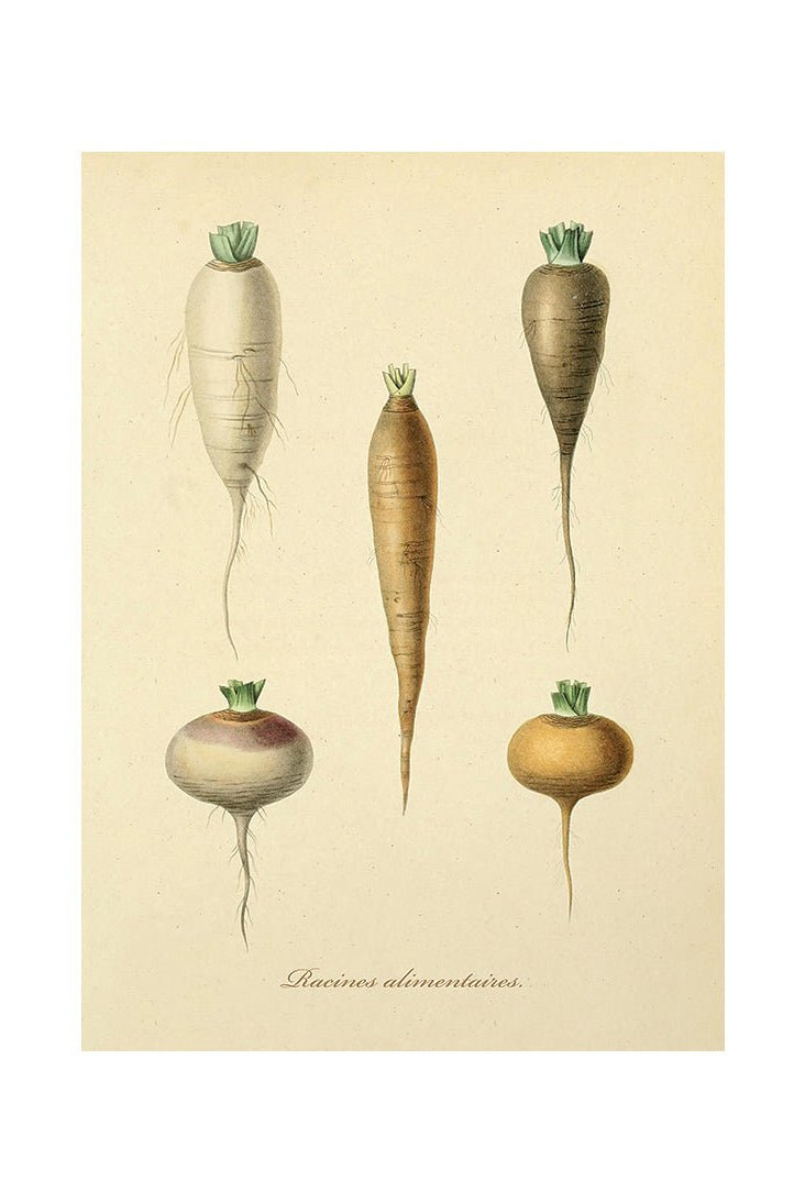 The Bountiful Garden I