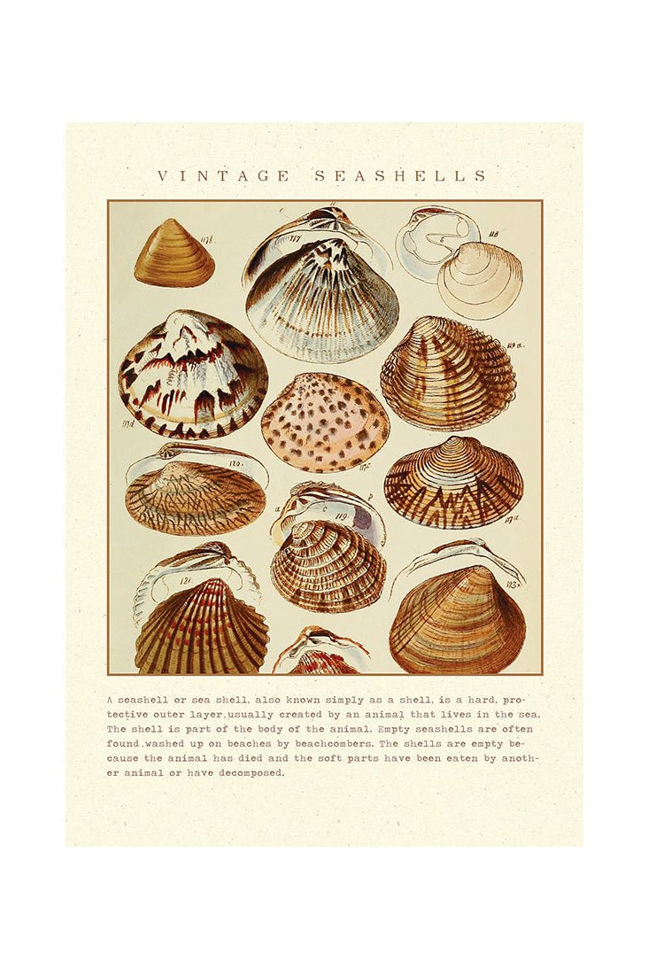 Secrets of the Sea
