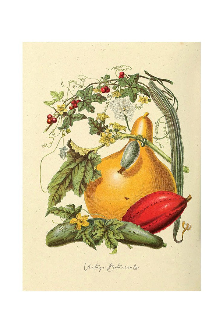 Garden Harvest Delights I