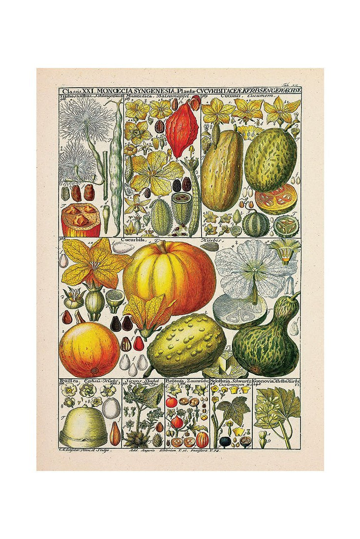 Flavors of the Earth I