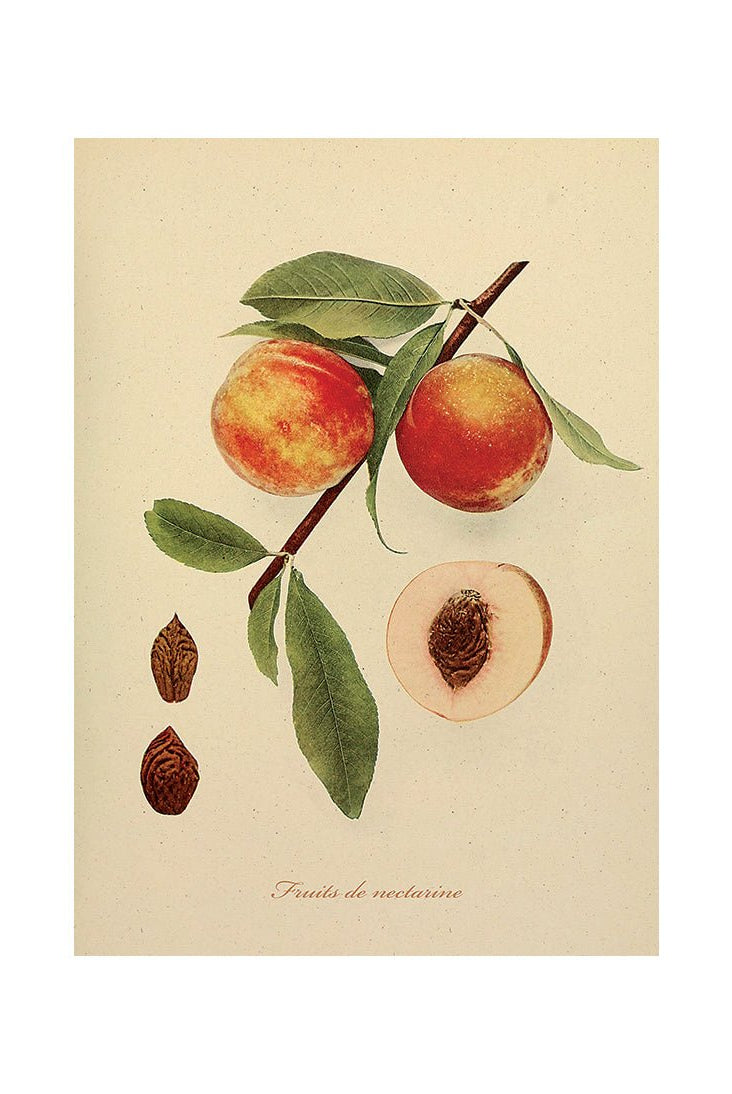 The Bountiful Garden III