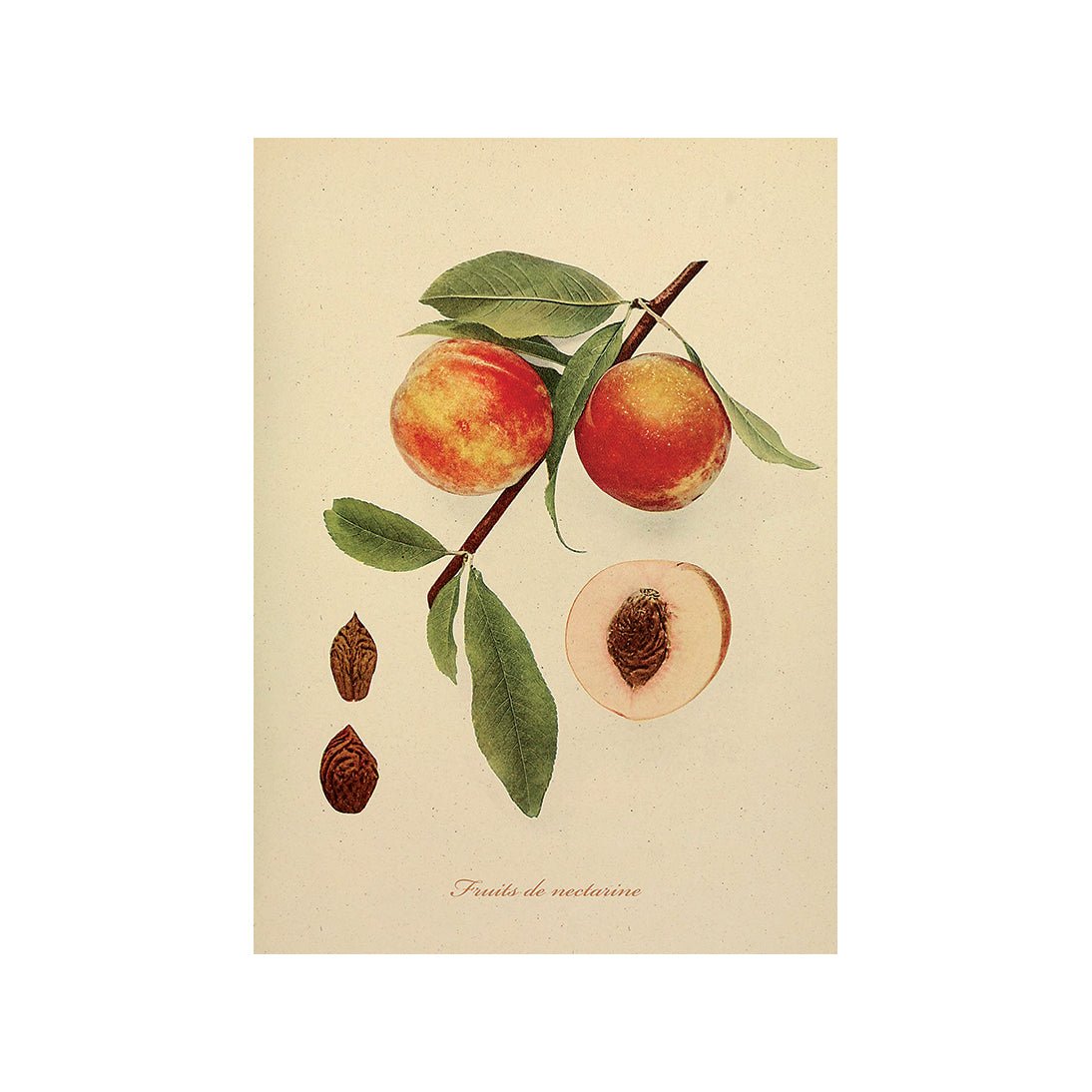 The Bountiful Garden III