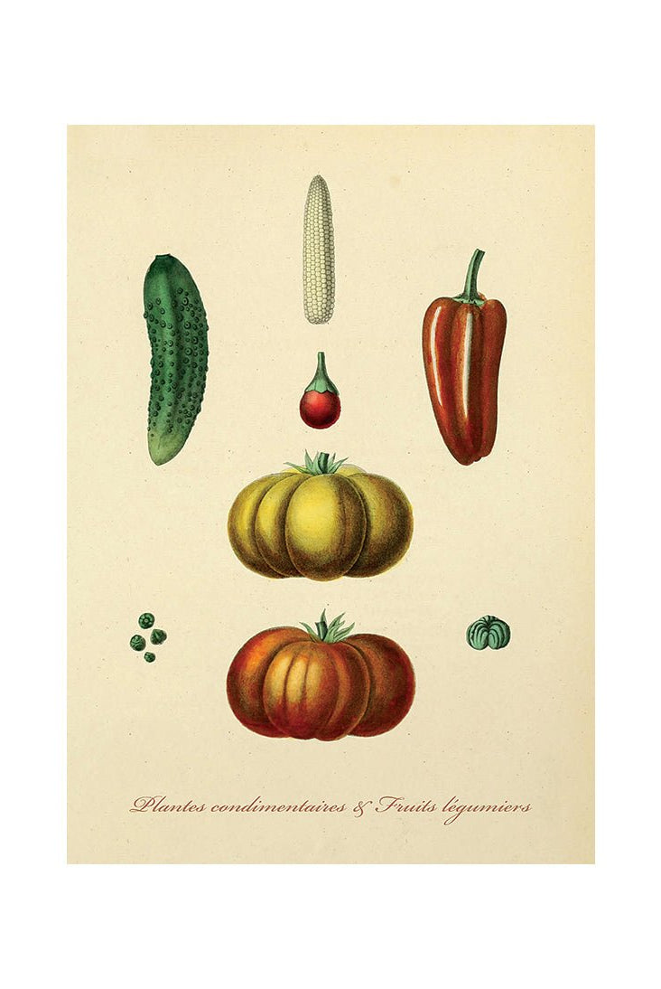 Taste of Nature's Joy I