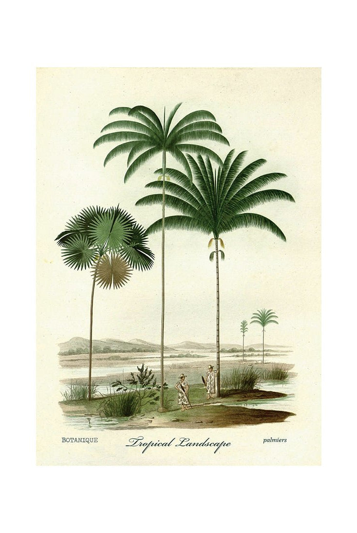 Palm Symphony