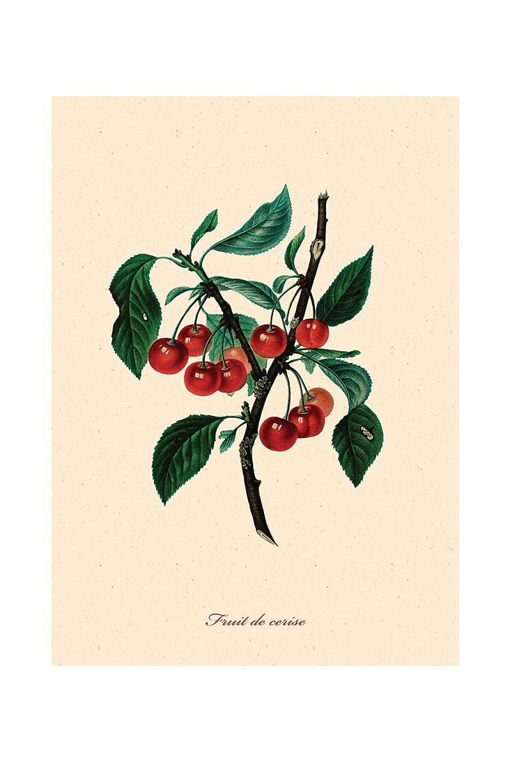 From Earth to Plate III