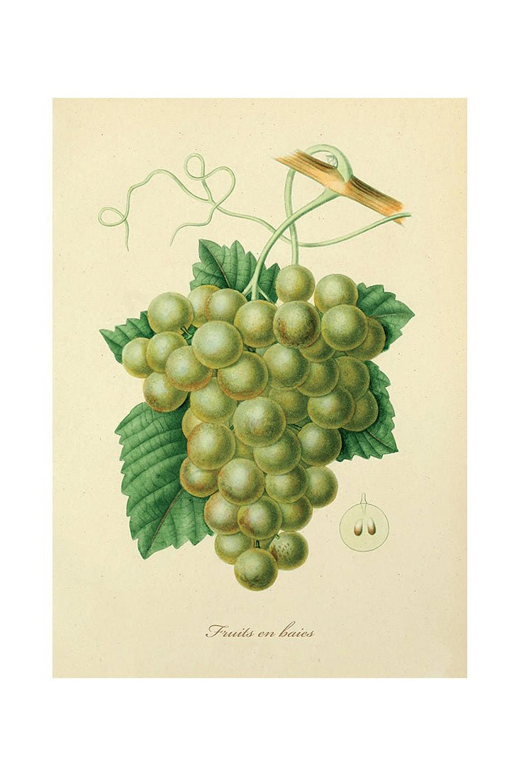 Paradise of Juicy Pleasures