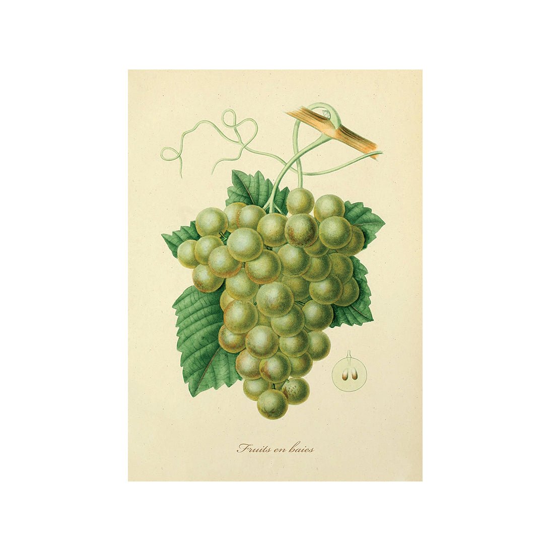 Paradise of Juicy Pleasures