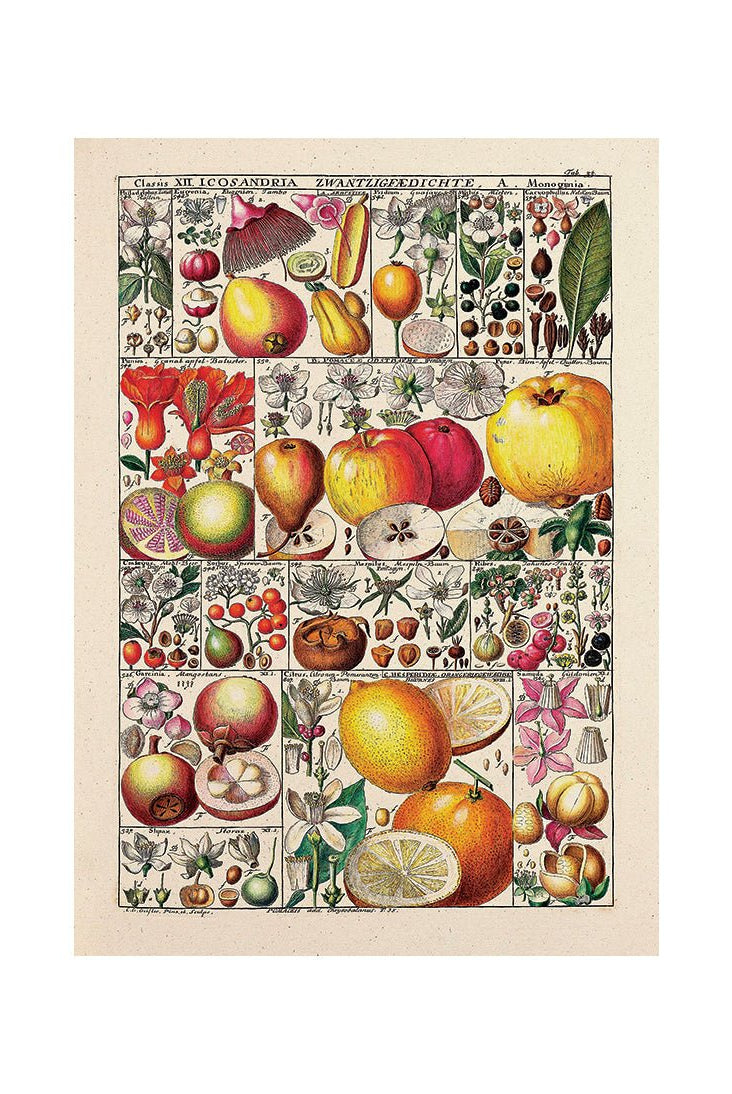 Flavors of the Earth II