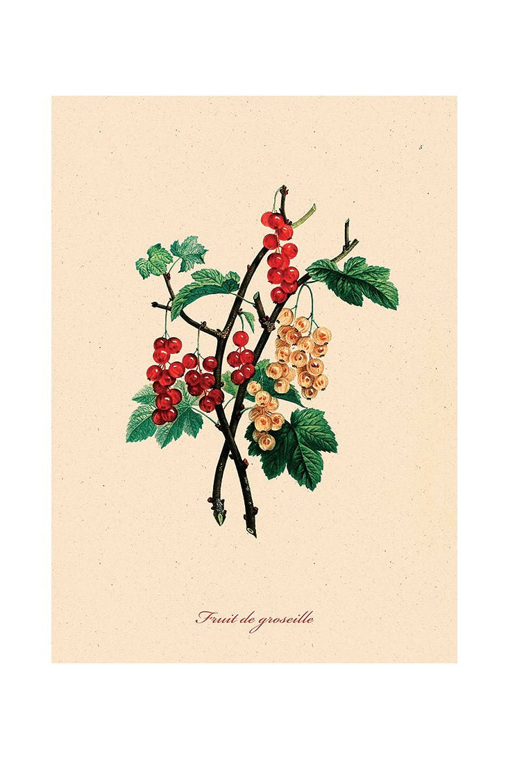 From Earth to Plate IV