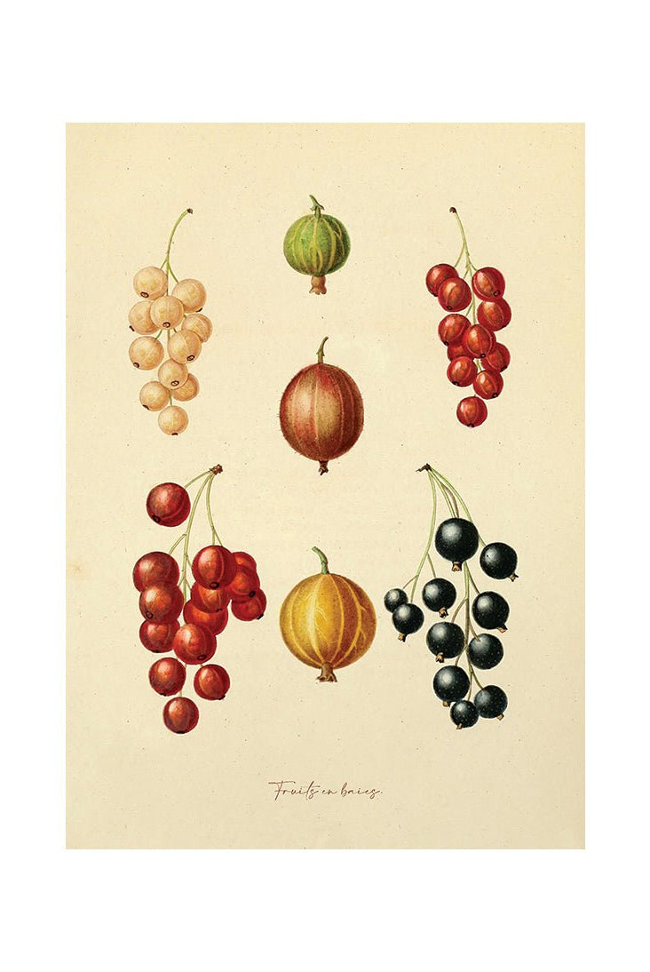 Culinary Gallery III