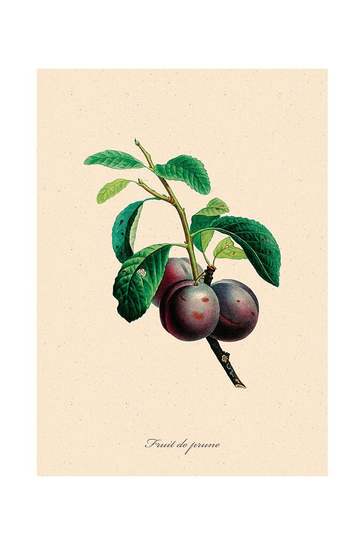 The Bountiful Garden II