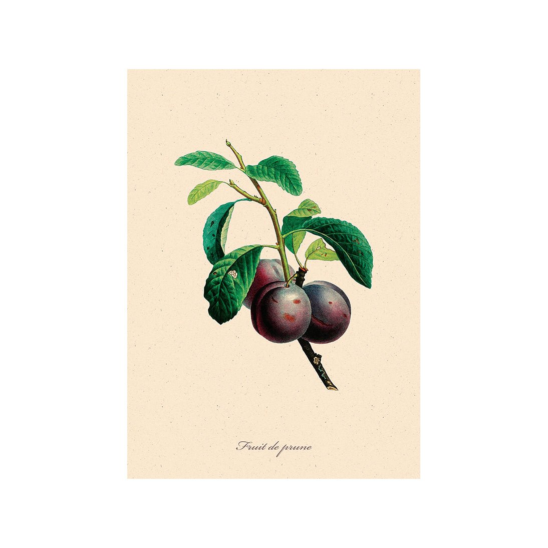 The Bountiful Garden II