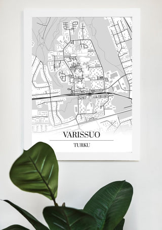 Varissuo Kartta - Nensa