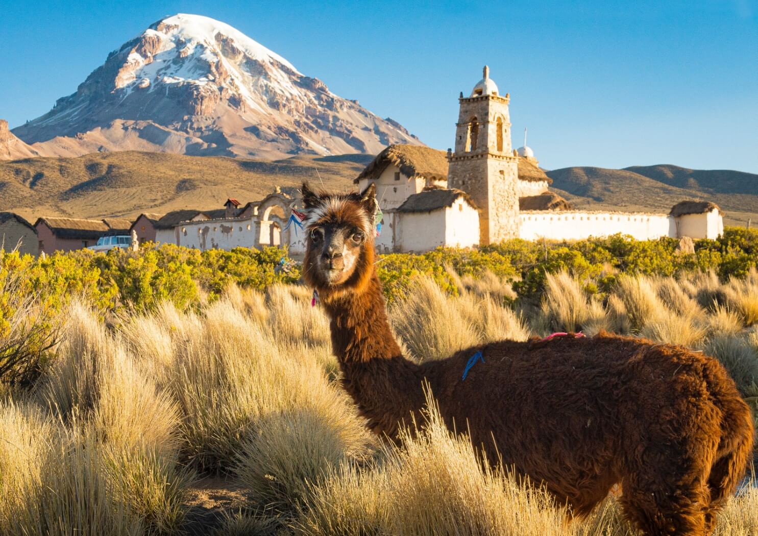 Bolivia - Nensa