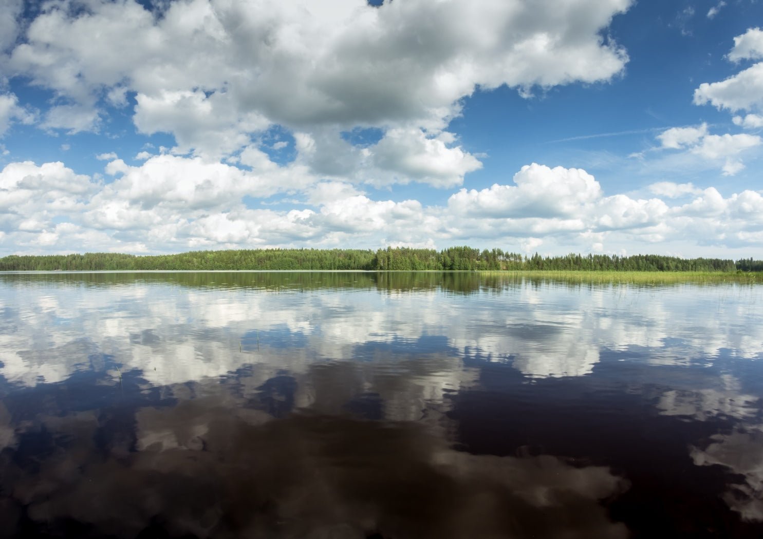 Etelä-Savo karttataulut ja Etelä-Savo karttajulisteet - Nensa