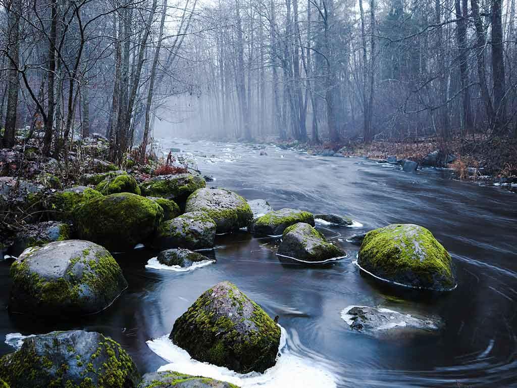 Luonto ja maisemat - Nensa