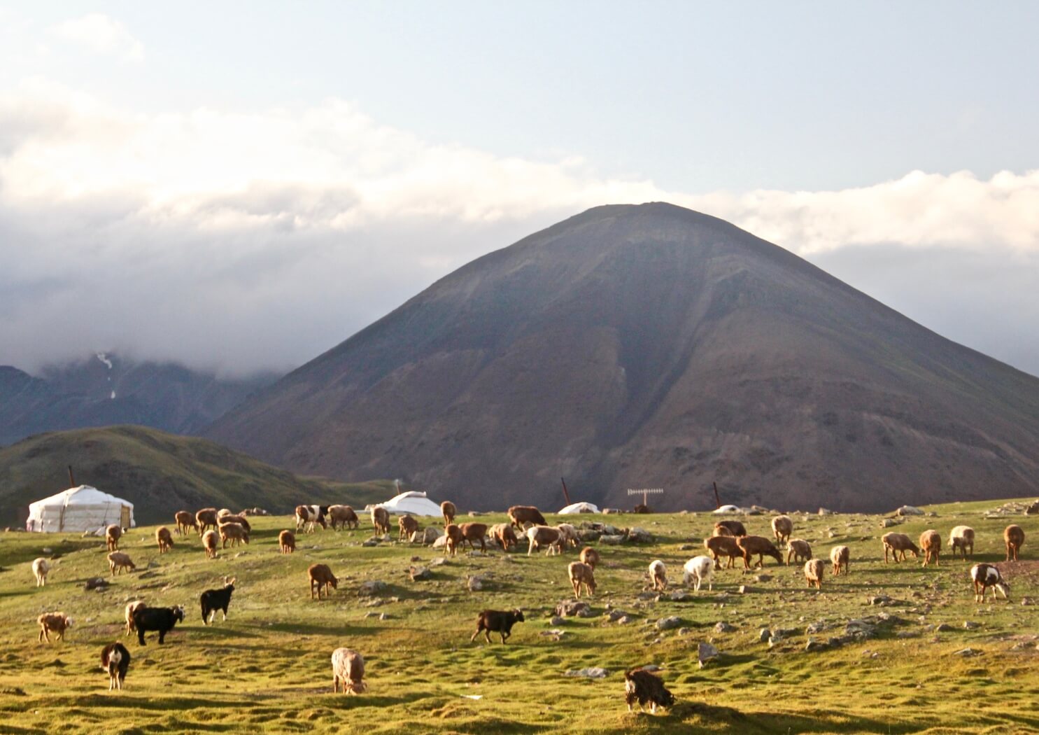 Mongolia - Nensa