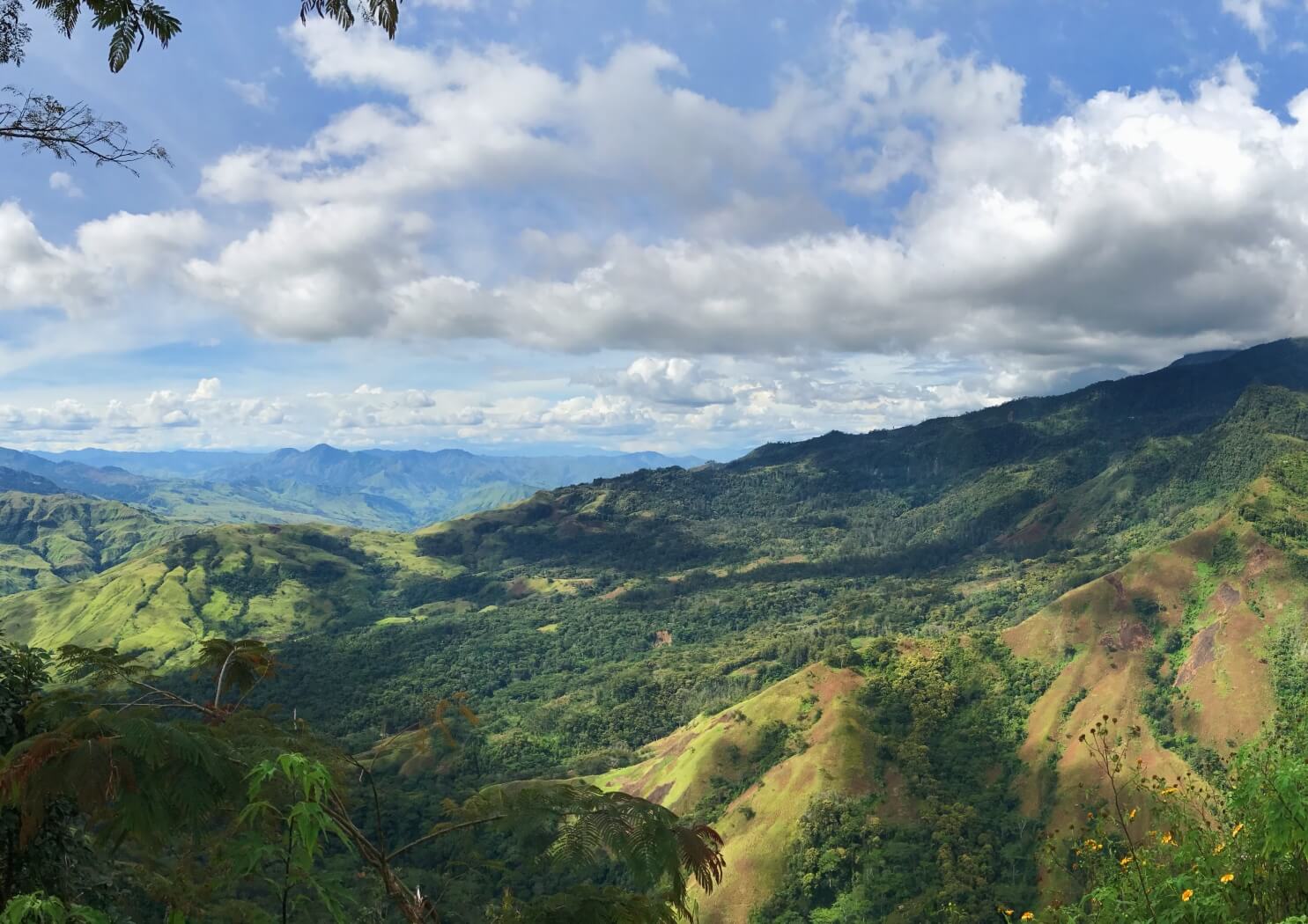 Papua New Guinea - Nensa