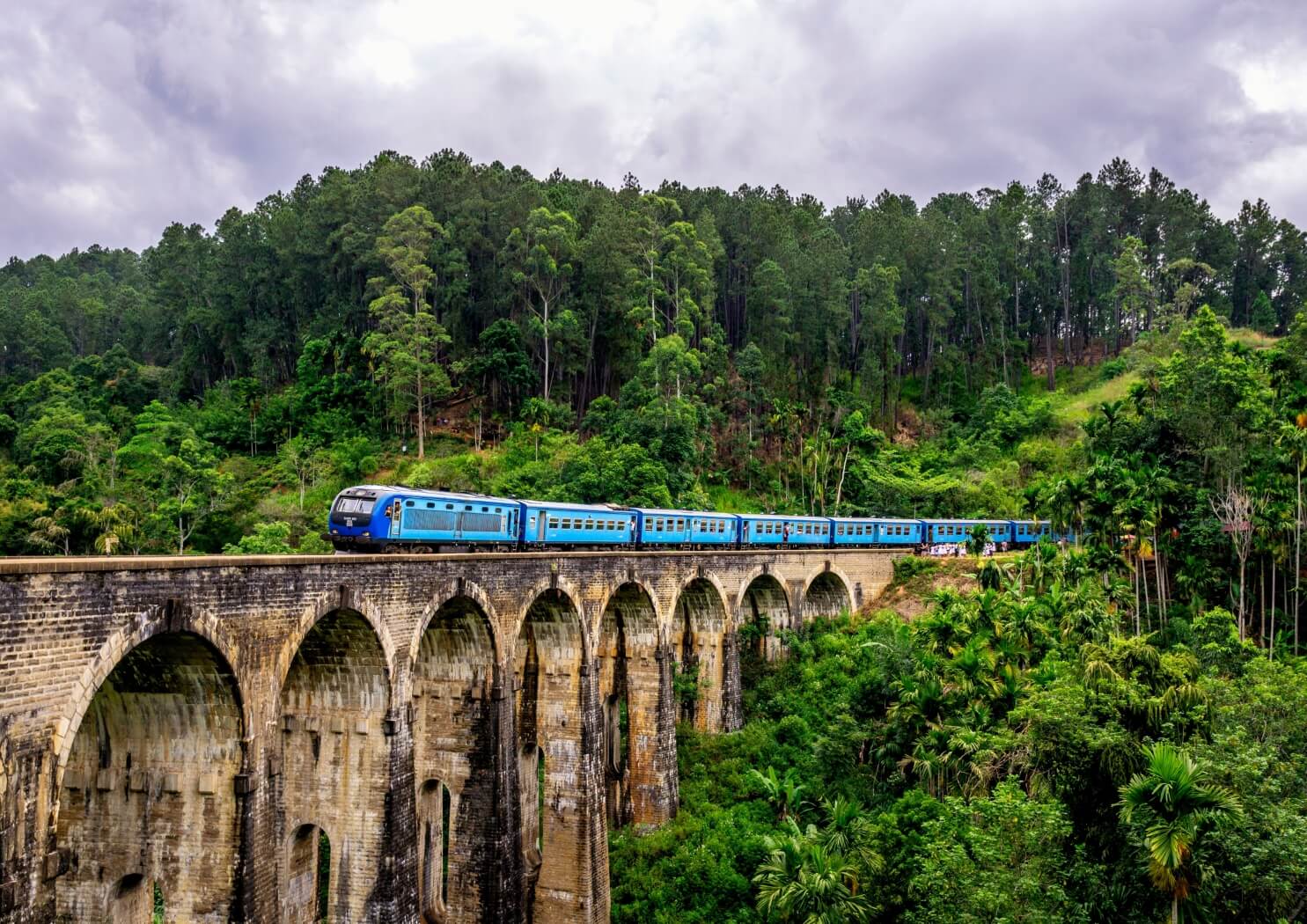 Sri Lanka - Nensa