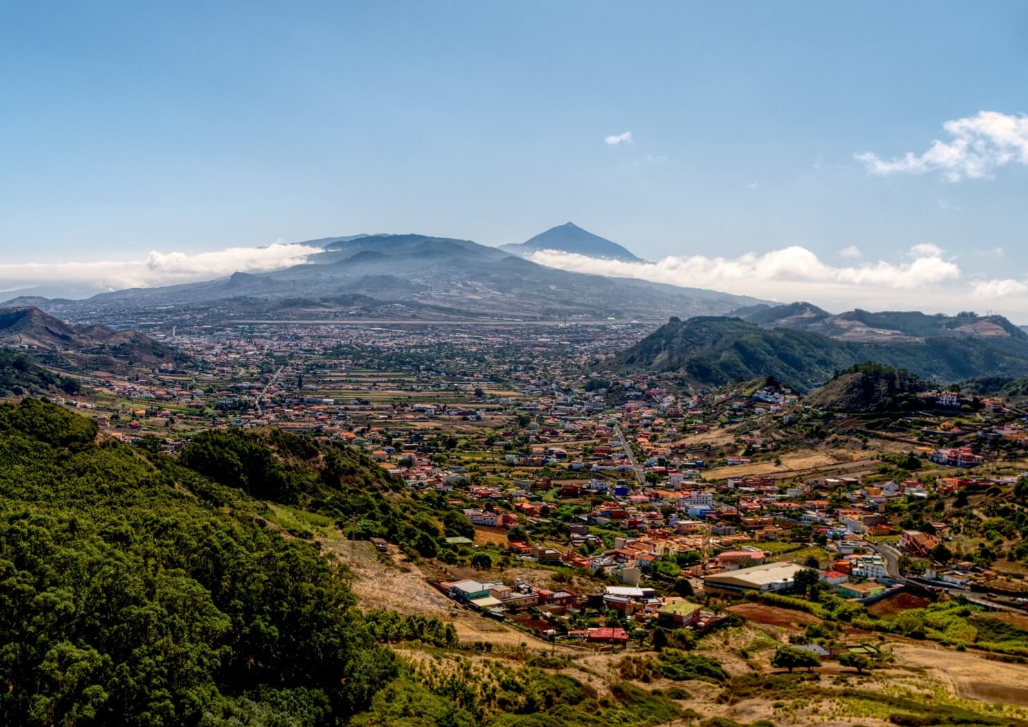 Venezuela - Nensa