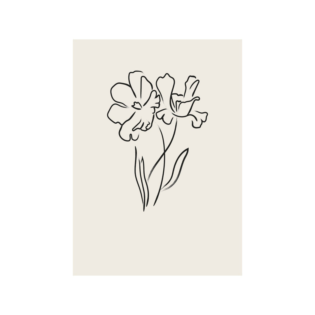 Aromatic Moments