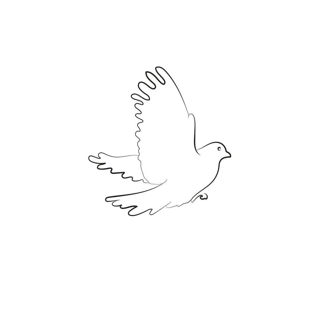Soaring Freedom