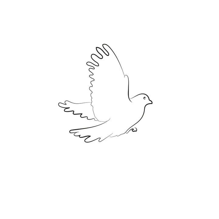Soaring Freedom