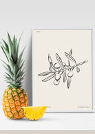 Boho Lines #100