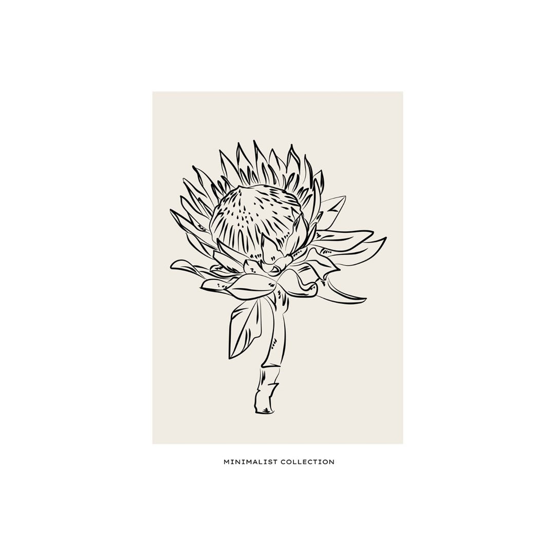 Boho Lines #22