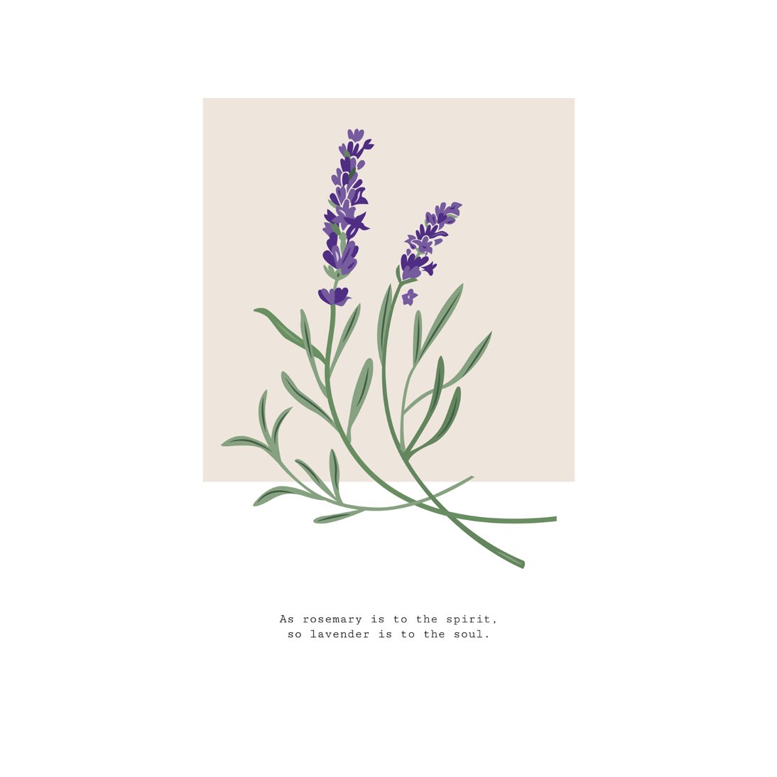 Botanical #1