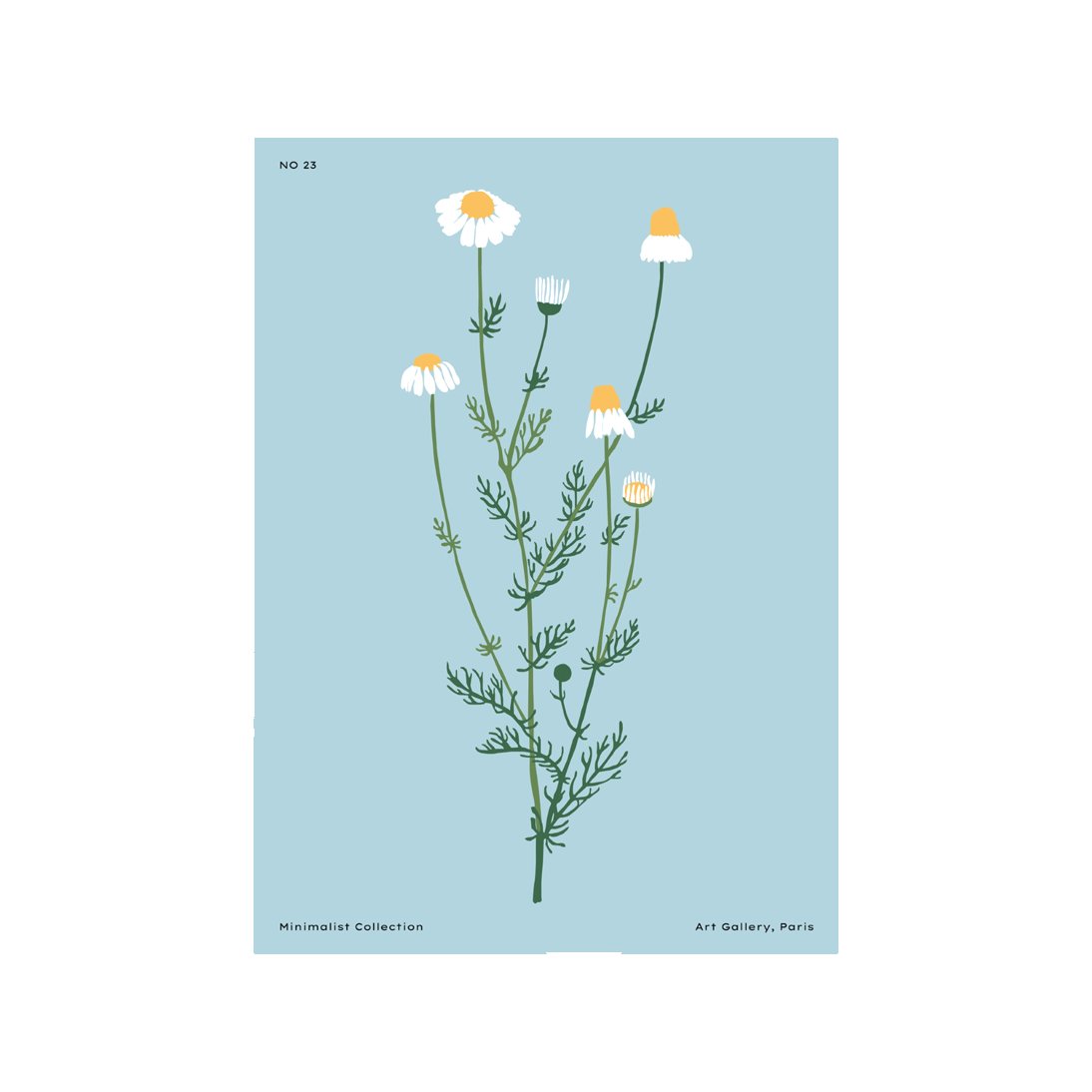 Botanical #12