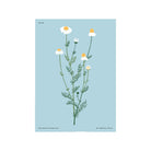 Botanical #12