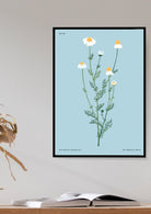 Botanical #12