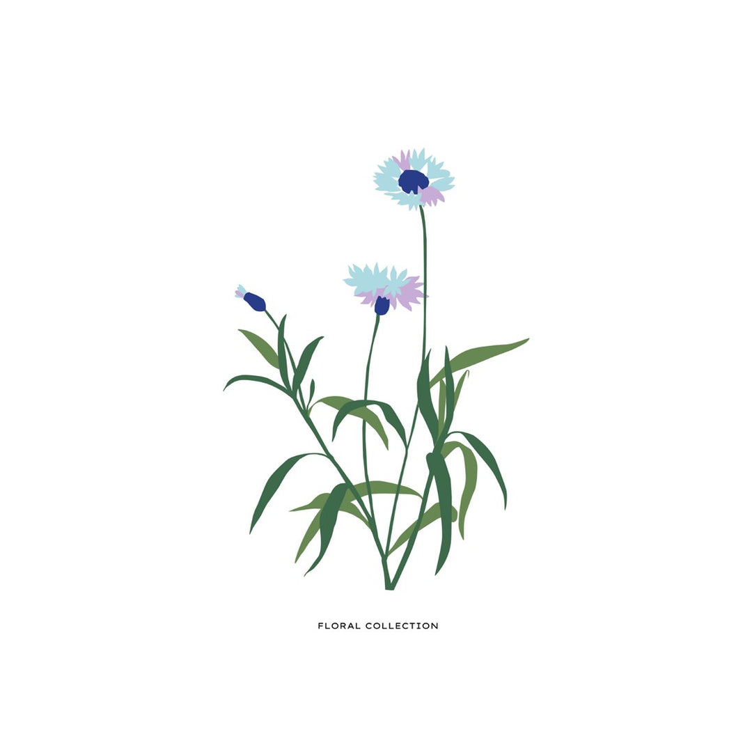 Botanical #31