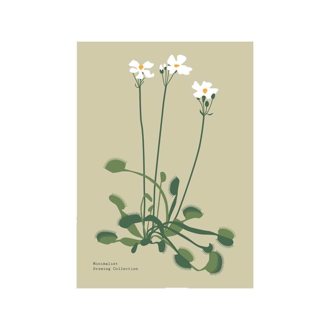 Botanical #45