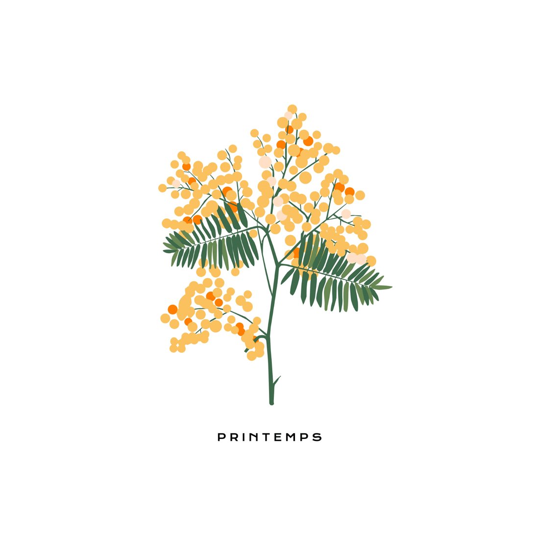 Botanical #49