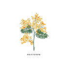 Botanical #49