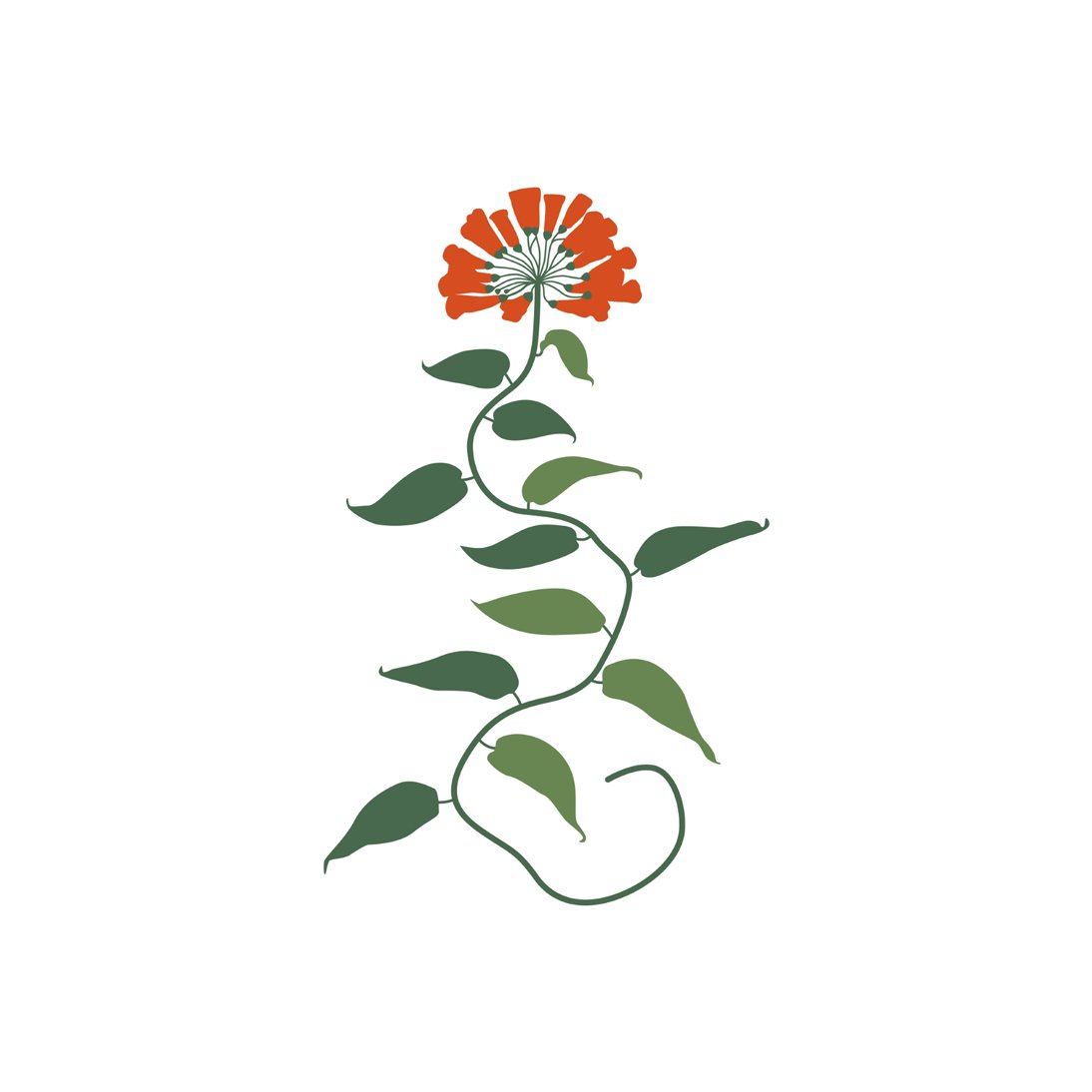 Botanical #51