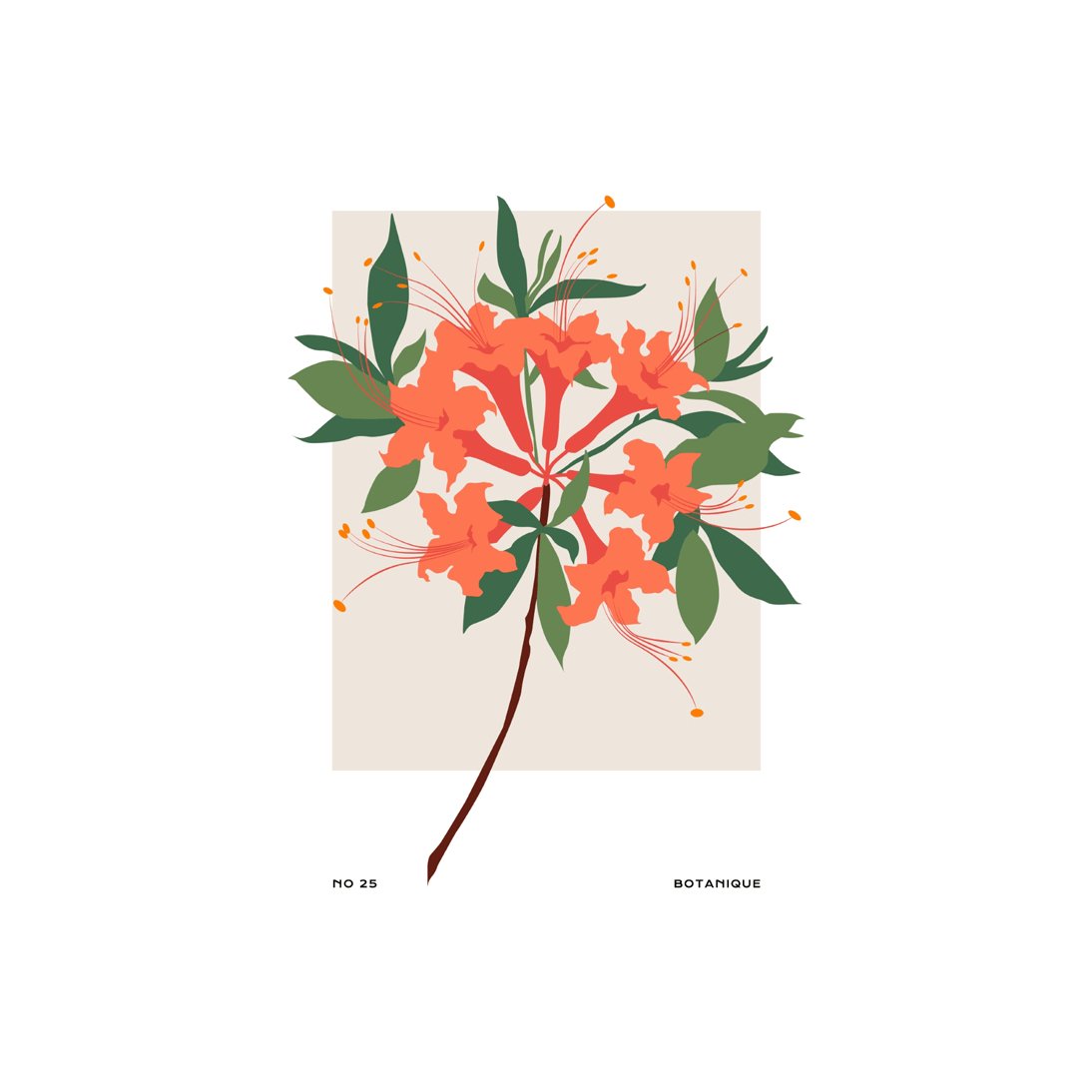 Botanical #52