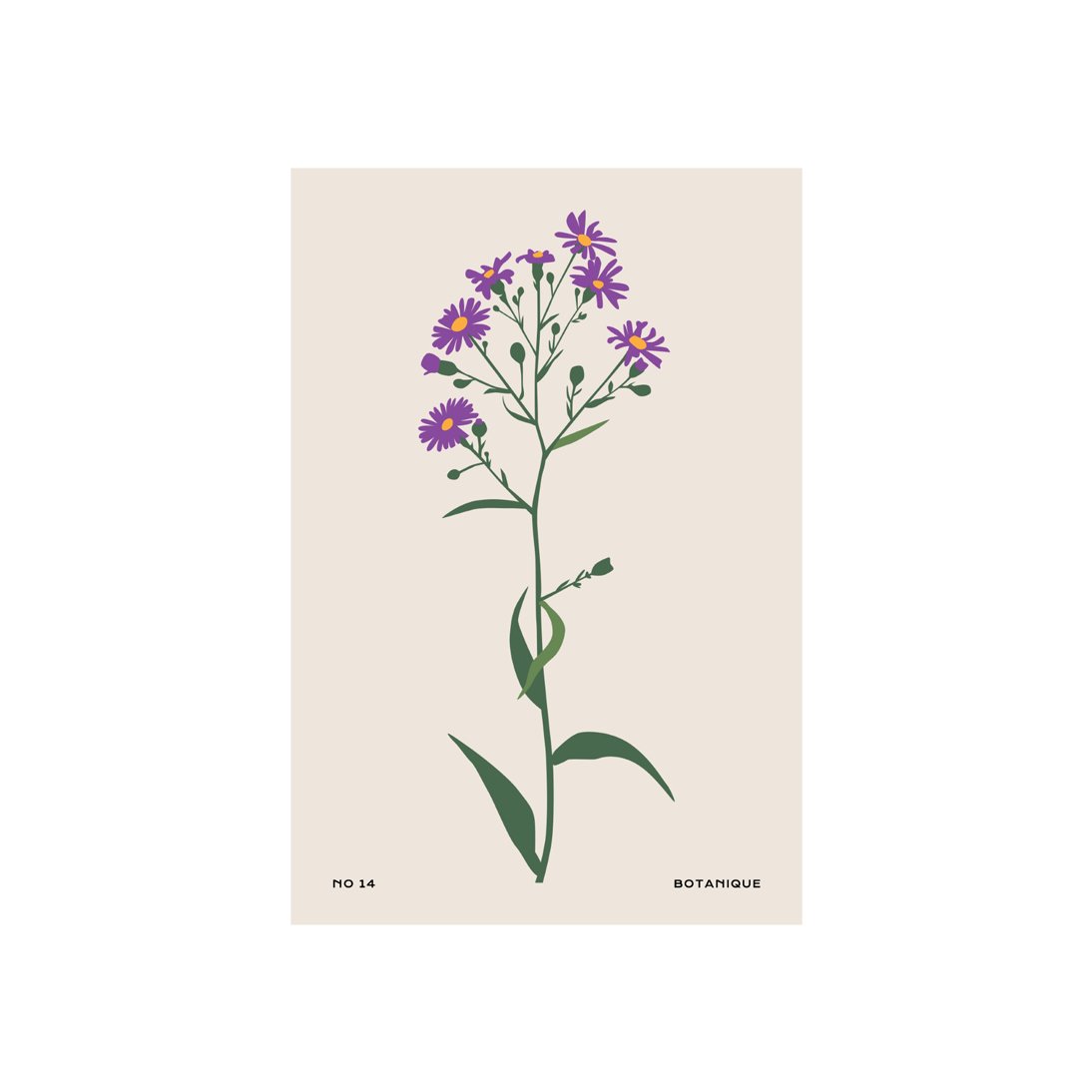 Botanical #6