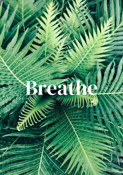 Breathe