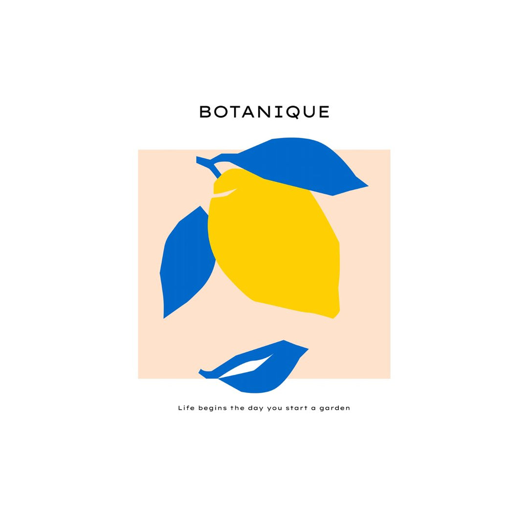 Colorful Boheme #27