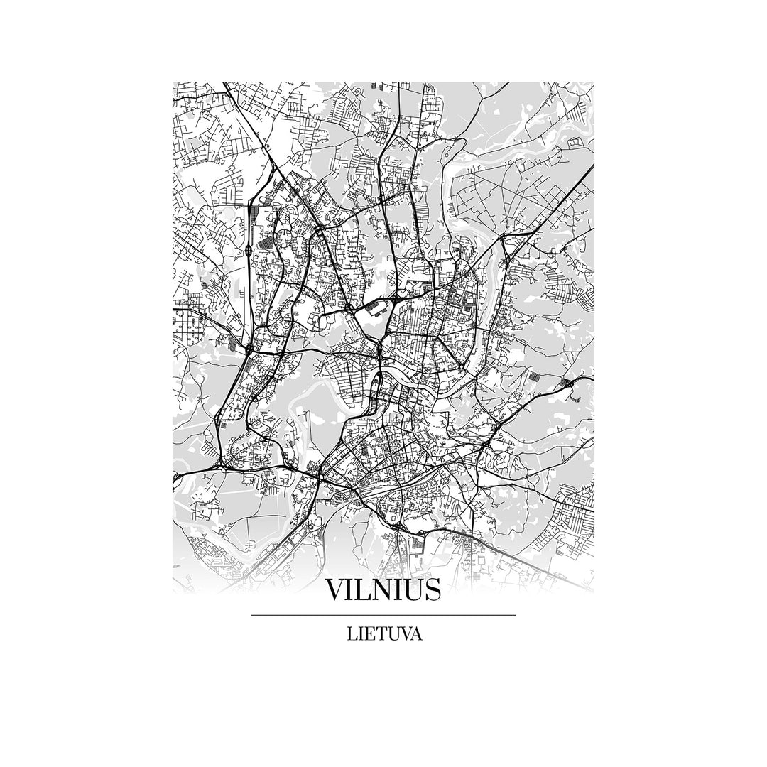 Vilnius