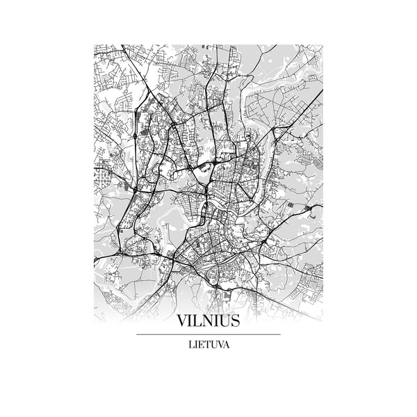 Vilnius