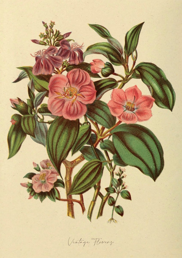 Floral XXXV