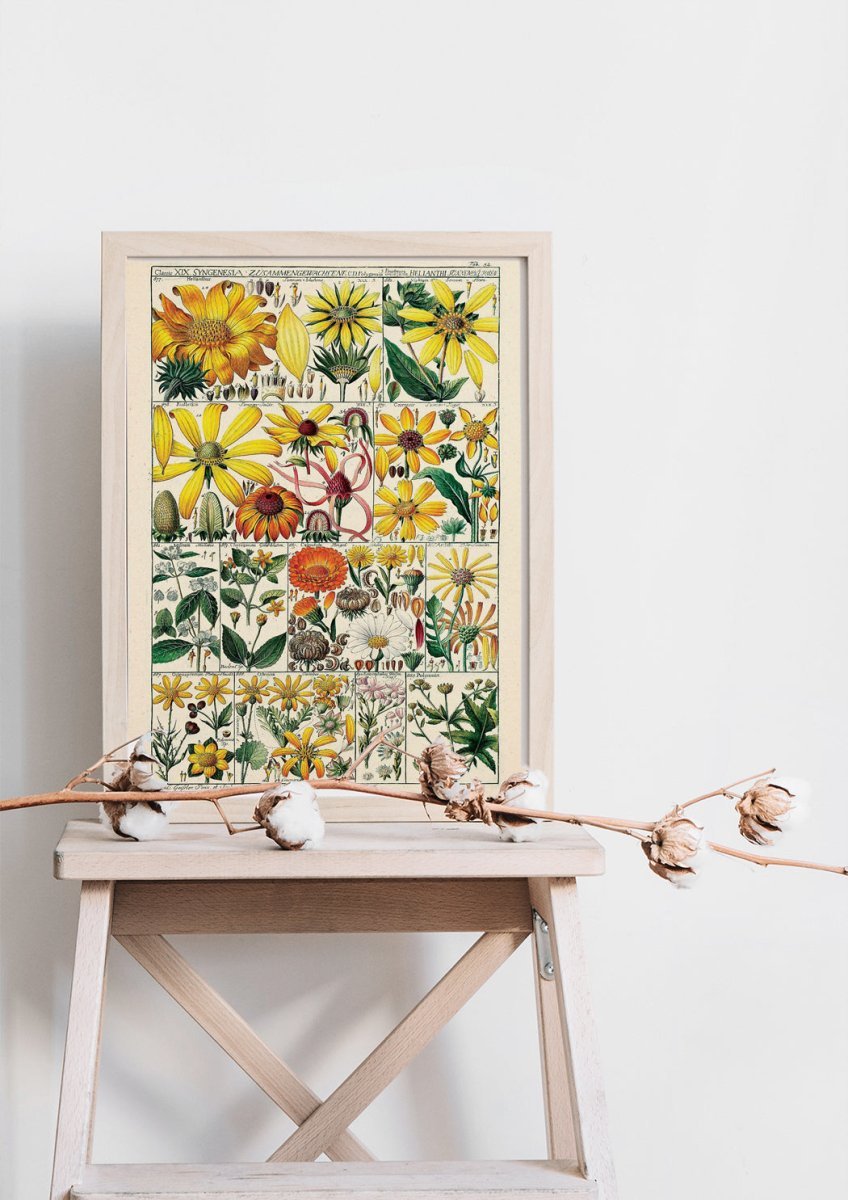 Floral XXXVIII