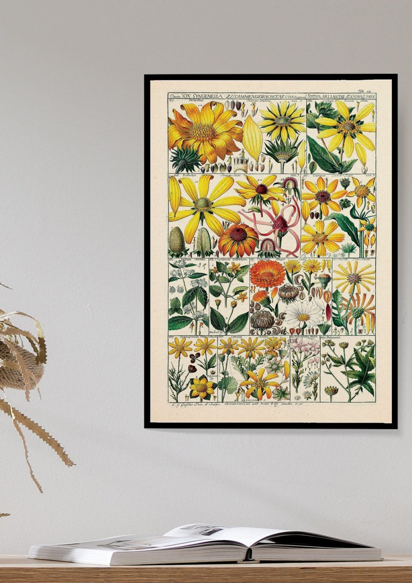 Floral XXXVIII
