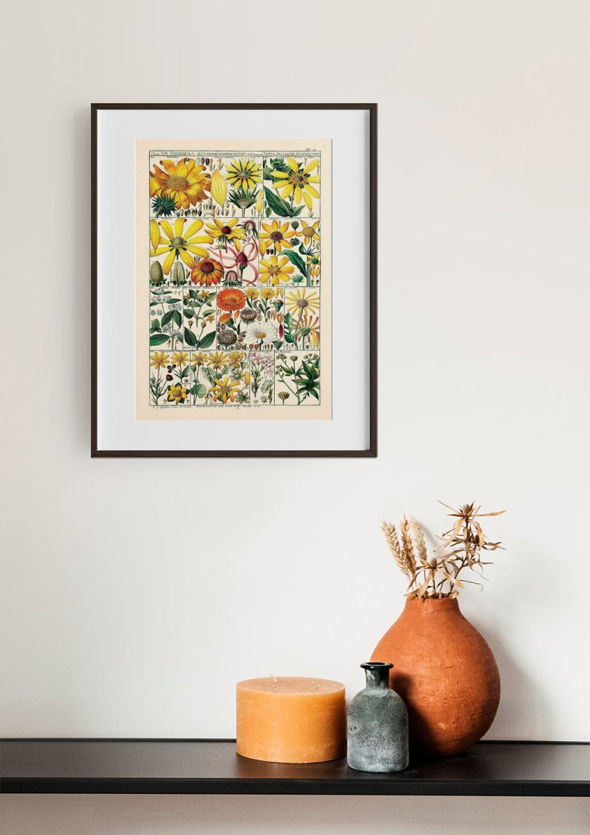 Floral XXXVIII