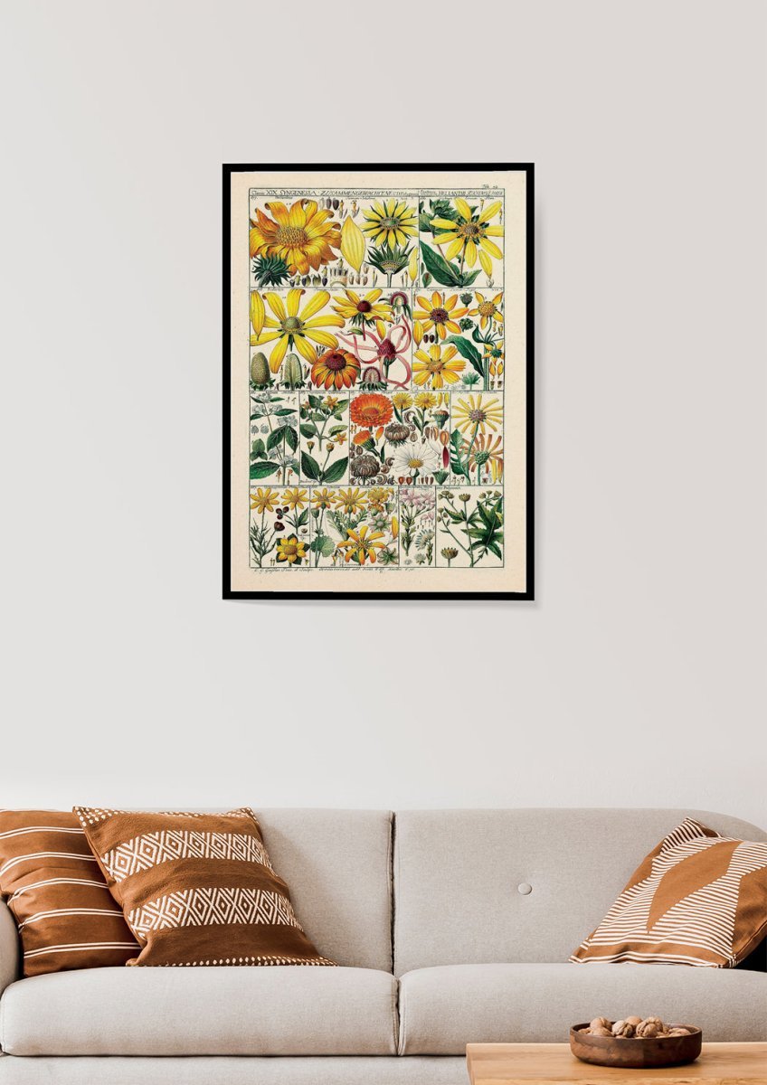 Floral XXXVIII