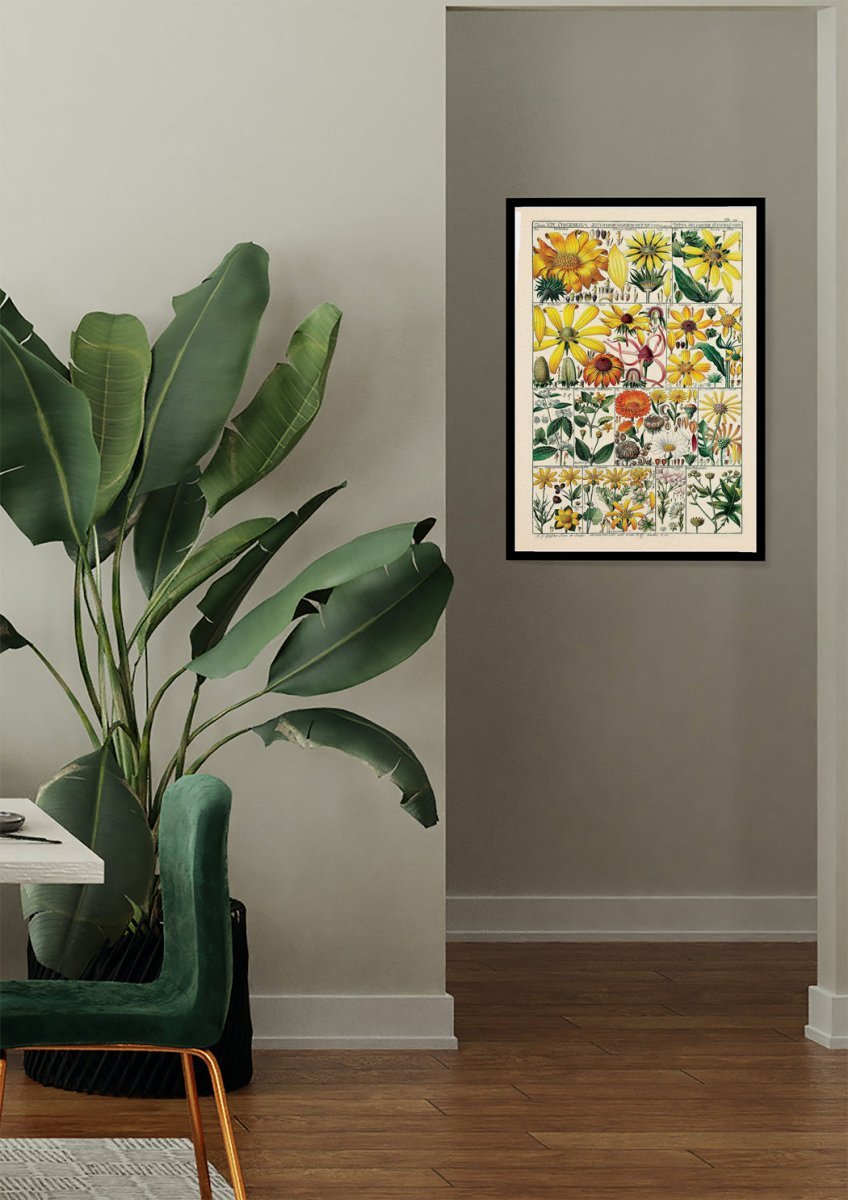 Floral XXXVIII